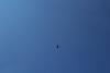 Ferte 2006 041